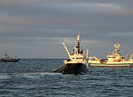 Norge og UK fortsetter makrell-samtalene til høsten
