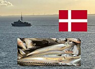 Seks norske fiskere bøtelagt i Danmark - engasjerte advokat og sparte 700.000